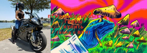 MESCALINE Мегион