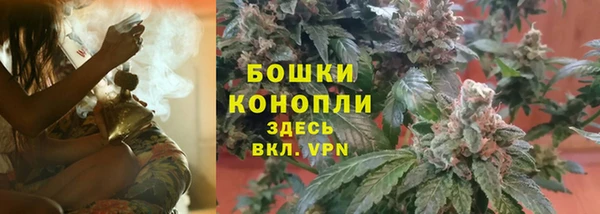 Альфа ПВП Медногорск
