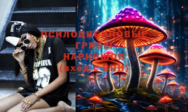 Альфа ПВП Медвежьегорск