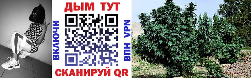 купить  цена  Тырныауз  Бошки марихуана OG Kush 
